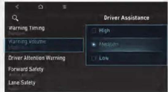Warning Timing Warning Volume Driver Attention Warning Forward Safety Lane Safety Driver Assistance High Medium Low