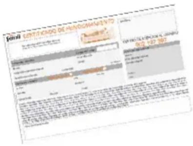 SINAI CERTIFICADO DE MUNICOMANUEL SINAVEL CERRETO LIVIDUAL, CIRCUO 06/2/137 1807