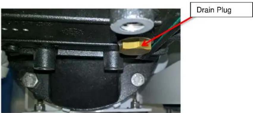 Drain Plug