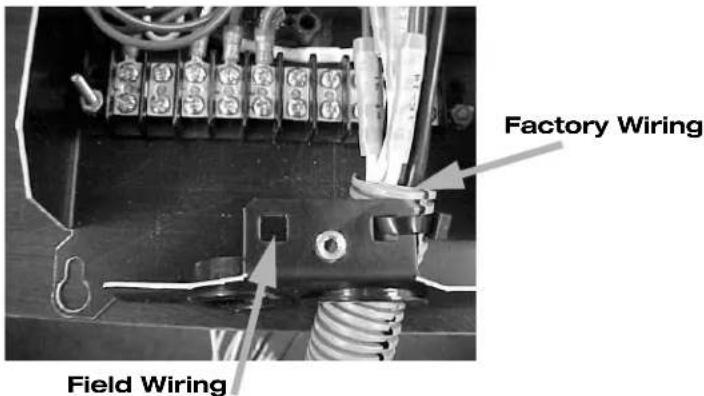 Factory Wiring Field Wiring