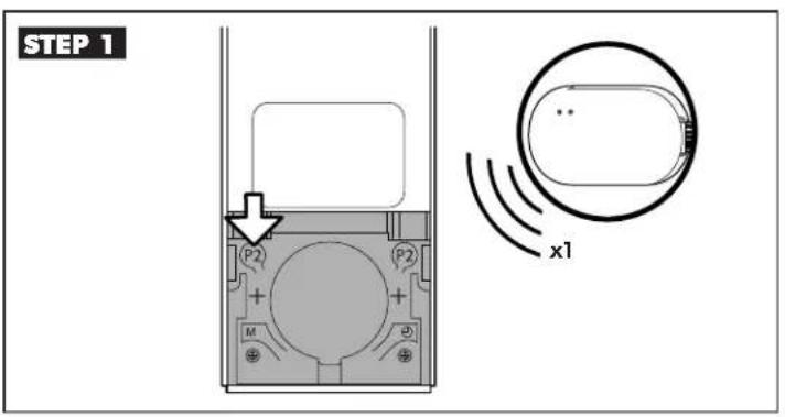 STEP 1 P2 M P2 x1