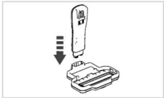 GENIUS Invictus M5 - Befestigen der Elektrobürste - 2