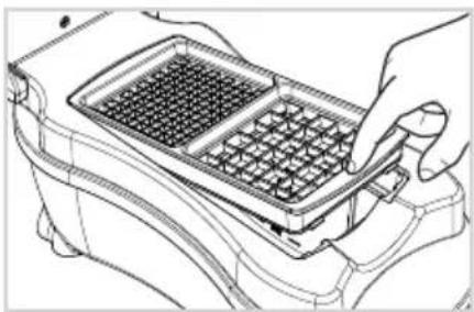 GENIUS Nicer Dicer Fun - Würfel/Stifte - 5