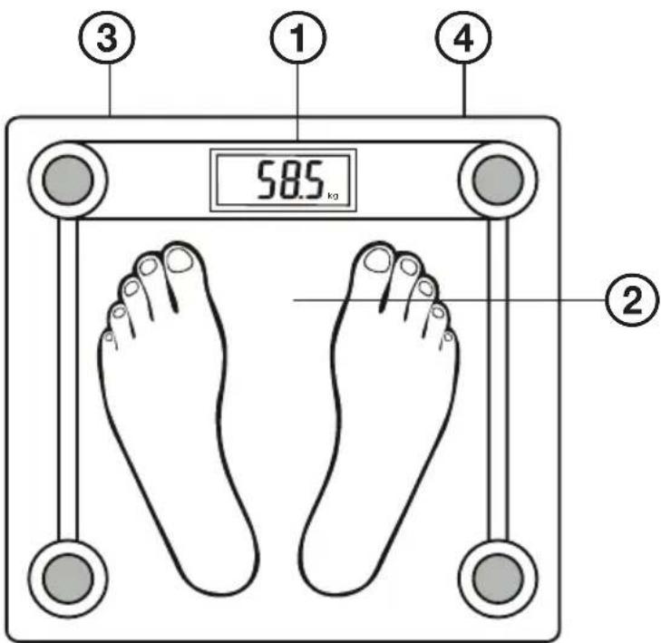 ECG OV 137 Glass - DESCRIPTION / BESCHREIBUNG / POPIS / KIRJELDUS / OPIS / APRAKSTS / APRAŠYMAS / A KÉSZÜLÉK RÉSZEI / OPIS / DESCRIERE / POPIS / OPIS / OPIS / ПЕРИГРАФН / ОПИС - 1