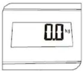 0.0 kg