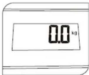 0.0 kg