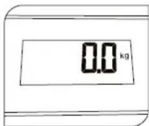 0.0 kg