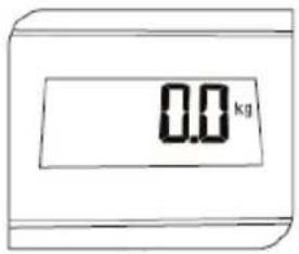 0.0 kg