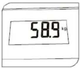 58.9 kg