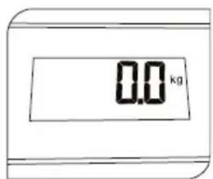 0.0 kg