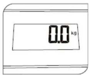 0.0 kg