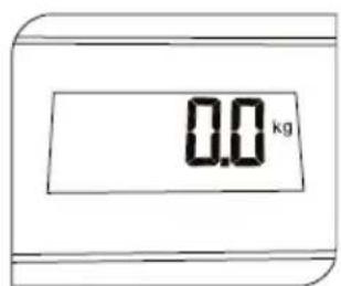 0.0 kg