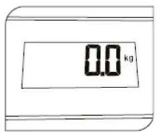 0.0 kg