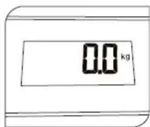 0.0 kg