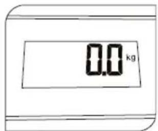 0.0 kg