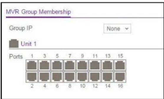 MVR Group Membership Group IP None Unit 1 Ports 1 3 5 7 9 11 13 15 2 4 6 8 10 12 14 16