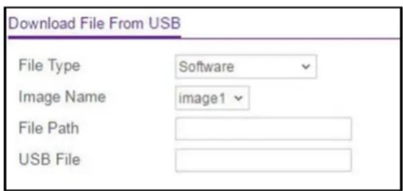 Download File From USB File Type Software Image Name image1 File Path USB File