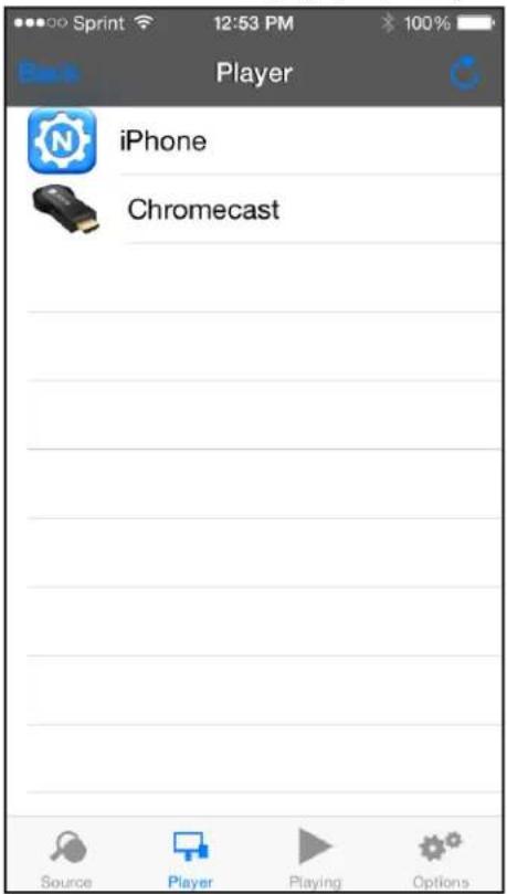 Sprint 12:53 PM 100% Player iPhone Chromecast Source Player Playing Options