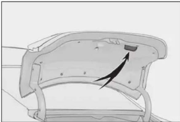 LEXUS RC 350 AWD (2019) - Trunk grip - 1