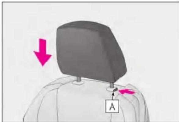 Diagram showing a person's shoulder with a labeled point A and a downward arrow indicating motion or force direction.