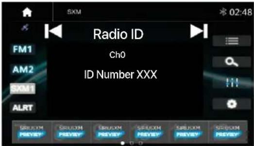 Radio ID Ch0 ID Number XXX