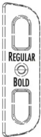 REGULAR BOLD