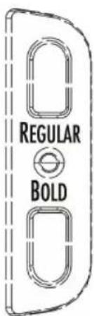 REGULAR BOLD