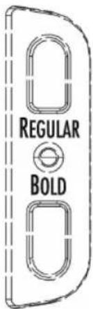 REGULAR BOLD