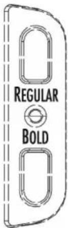 REGULAR BOLD