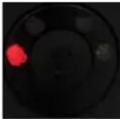 FAKIR Milky Art - Description of Indicator Lights - 1