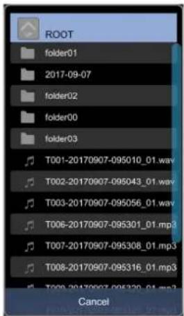 ROOT folder01 2017-09-07 folder02 folder00 folder03 T001-20170907-095010_01.wav T002-20170907-095043_01.wav T003-20170907-095056_01.wav T006-20170907-095301_01.mp3 T007-20170907-095308_01.mp3 T008-20170907-095316_01.mp3 T009-20170907-095320_01.mp3 Cancel