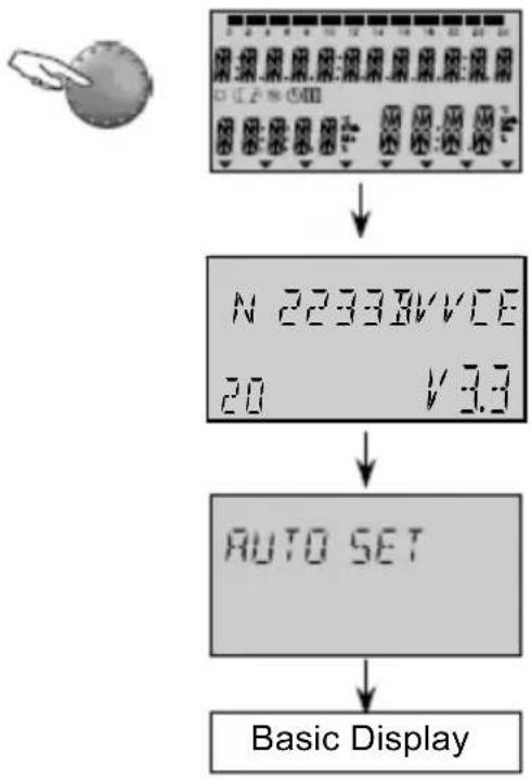 FERROLI Theta+ - Manual activation - 1