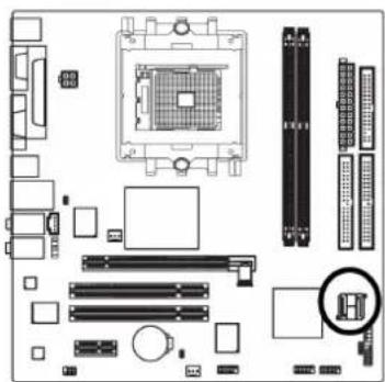 GIGABYTE GA-K8N51GMF - 7) SATAII0 (SATA 3Gb/s Anschlüsse) - 1