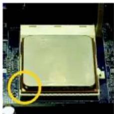 GIGABYTE GA-K8N51GMF - 1-3-1 Installation der CPU - 2