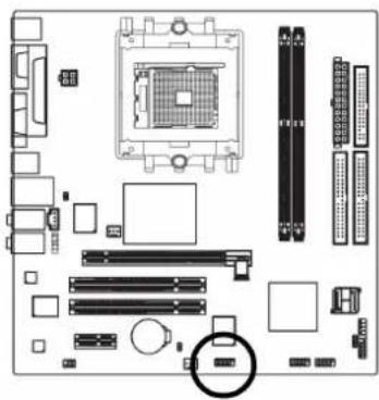 GIGABYTE GA-K8N51GMF - 16) F1\_1394 (IEEE1394 Anschlüsse) - 1