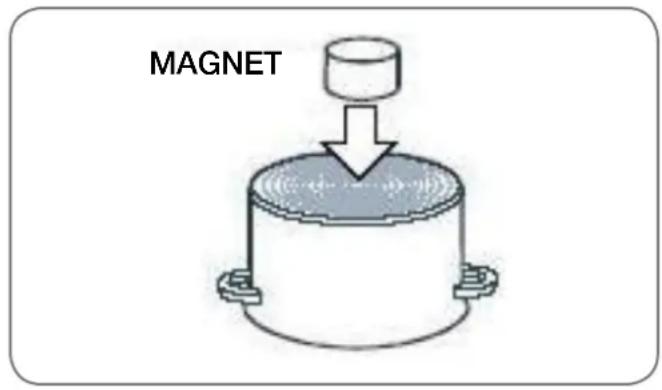 MAGNET