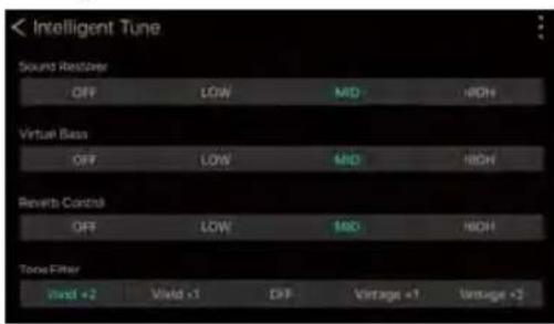 Intelligent Tune Sound Restover OFF LOW MID NICH Virtual Bass OFF LOW MID NICH Reverb Control OFF LOW MID NICH Tone Filter Veld +2 Vield +1 DIFF Voltage +? Voltage +?