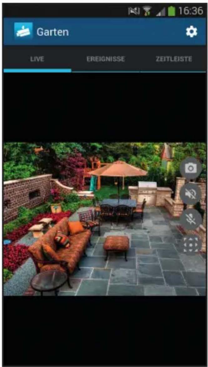 Garten LIVE EREIGNISSE ZEITLEISTE