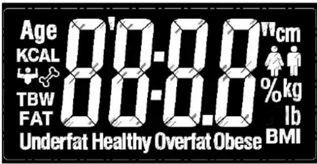 Age KCAL TBW FAT 08-0.0 cm %kg lb Underfat Healthy Overfat Obese BMI
