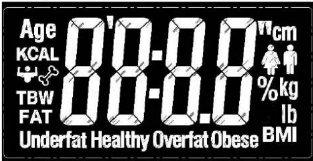 Age KCAL TBW FAT 08-0.0 cm %kg lb Underfat Healthy Overfat Obese BMI