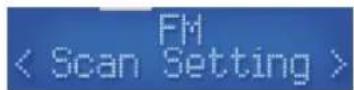 SWAN SRA43010 - FM Menu Options - 1