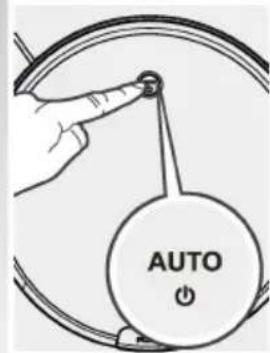 AUTO O