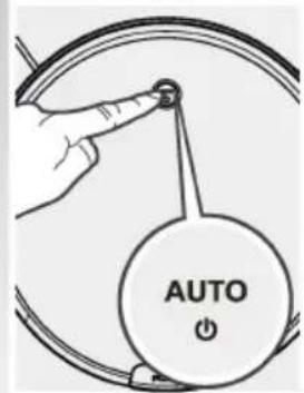 AUTO O