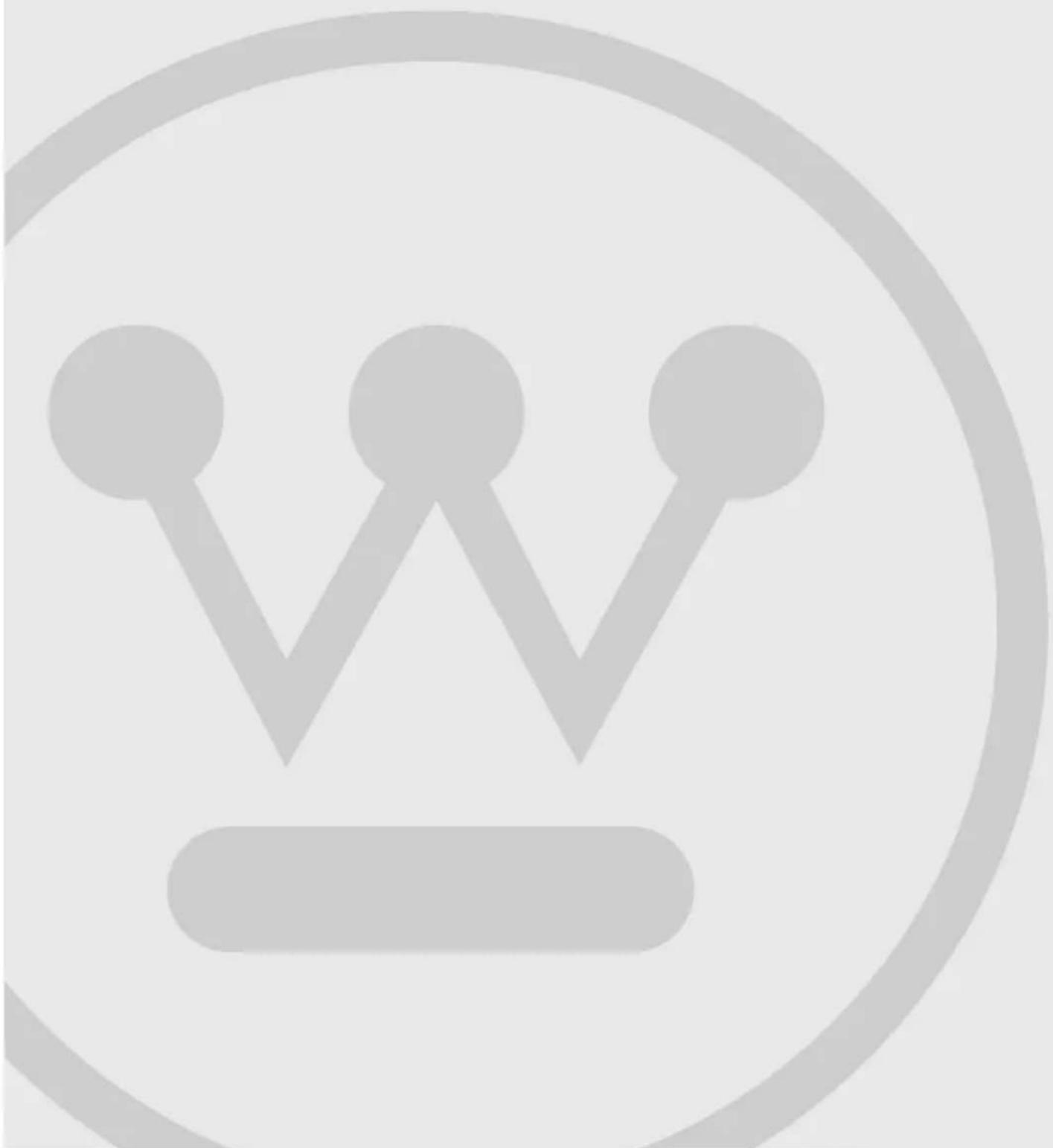 WESTINGHOUSE WDV457H3WB - 2