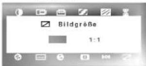 Bildgröße 1:1