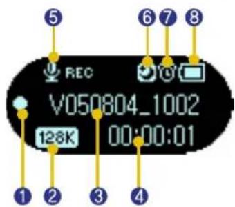 5 6 7 8 REC V050804_1002 128K 00:00:01 1 2 3 4