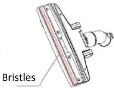 Bristles