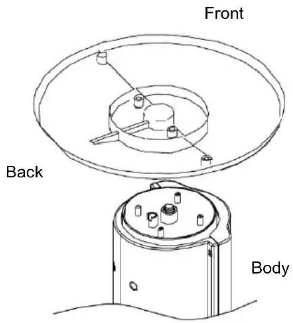 Front Back Body