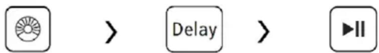 User interface buttons for 'Delay' function with circular icon and double arrow symbol