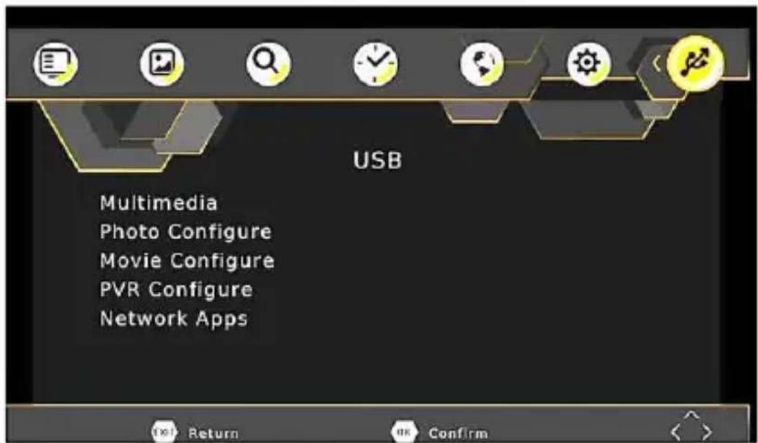 USB Multimedia Photo Configure Movie Configure PVR Configure Network Apps
